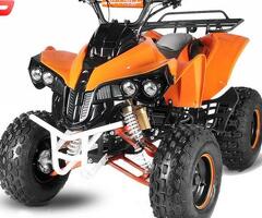 Atv 125Cc Warrior Deluxe Semiautomat/Roti De 8”