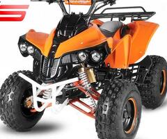 Atv 125Cc Warrior Deluxe Semiautomat/Roti De 8”