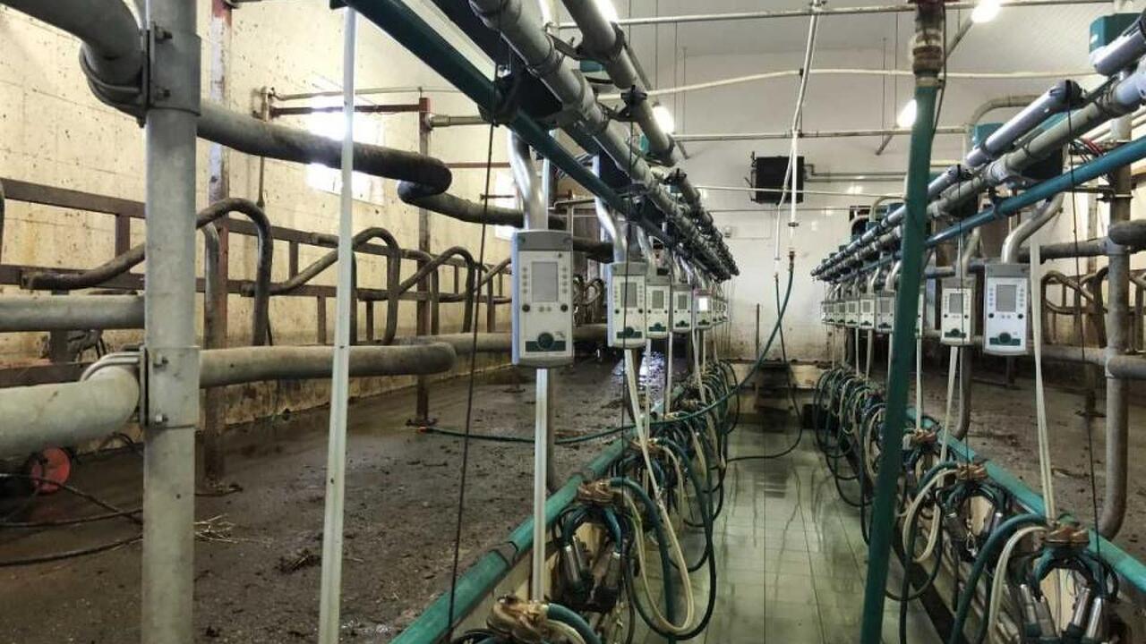 Lichidator judiciar vand Stație de muls FGM Euro Glass Lichidator judiciar vand Stație de muls FGM Euro Glass