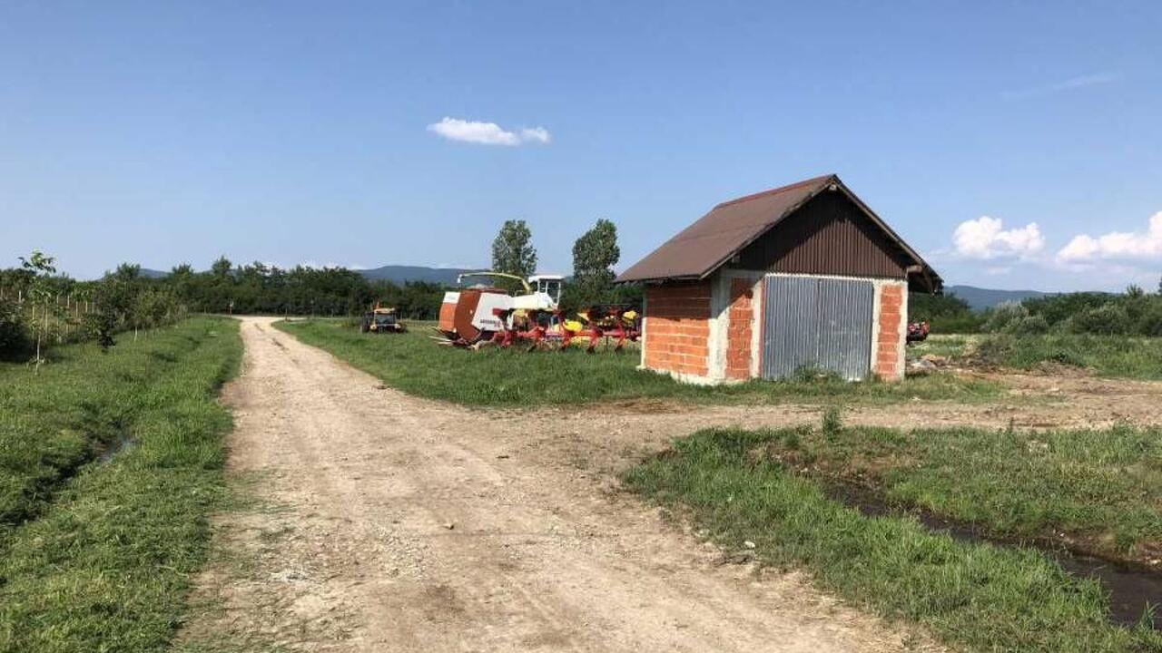 Lichidator judiciar vand ferma bovine - Satu Mare Lichidator judiciar vand ferma bovine - Satu Mare