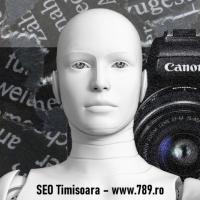 Optimizare SEO Timisoara web design si promovare