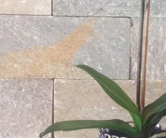 Capace si inele de PET-uri din plastic pentru martisoare cercei inele bratari