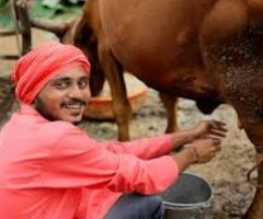 For workers from Asia, Africa, etc. Jobs in Romania and Europe