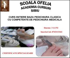 Curs specializare pedichiura medicala Sibiu, Alba Iulia