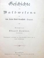 Istoria padurii Brasov, 1891