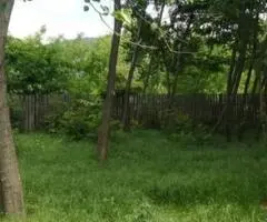 Teren cu casa de vanzare Sibiciul de Sus, Buzau