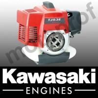 Vand motor Kawasaki TJ53E - benzina