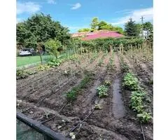 Colt de rai, refugiul tău verde în inima naturii la 1,30 min de Bucuresti