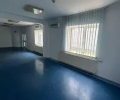 De vanzare vila P+2, cartier Banu Manta