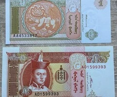 Bancnote din Mongolia