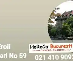 Gratar roca vulcanica /gratar electric si gaz seria 70  - Horeca Bucuresti