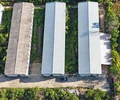 Hale de inchiriat in 1 Decembrie Ilfov | NILS Imobiliare