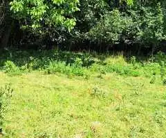 Vanzare teren intravilan+casă bătrânească, zonă turistică, Novaci-Gorj