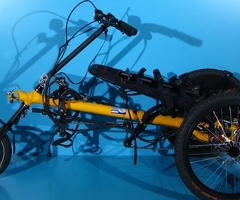 Tricicleta adaptiva  pentru copii Hase Trets