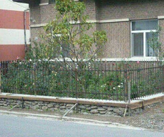 Casa de vanzare Baile Herculane