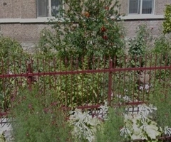 Casa de vanzare Baile Herculane