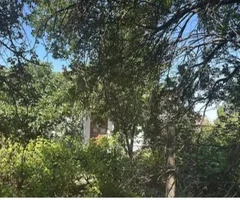 Casa de vânzare Bistret, Dolj+ teren 1600mp, 89900lei