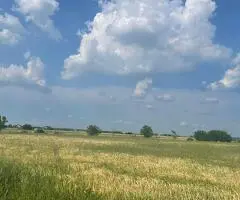 Vanzare teren intravilan Cernica_Tânganu, lot 954mp