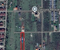 teren 2700 mp livada Sanpetru