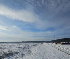 Terenuri premium de vanzare, intre paduri, acces asfaltat din DN1A