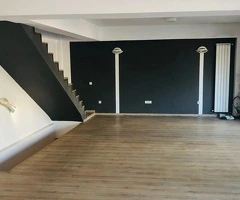 P+E  Zona Ștefan cel Mare (Dinamo) Dacia activitati comerciale