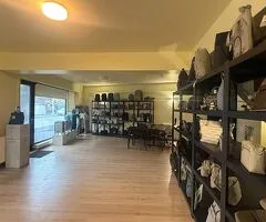 P+E  Zona Ștefan cel Mare (Dinamo) Dacia activitati comerciale