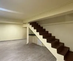 P+E  Zona Ștefan cel Mare (Dinamo) Dacia activitati comerciale