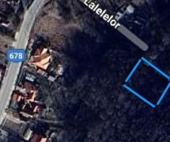 Vand teren cu padure 4000 mp intravilan constructii Budesti