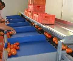 angajam la hale de rosii in germania