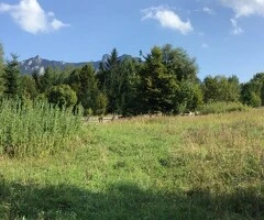 Vand teren in zona Ceahlau -Durau, Neamt