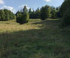 Vand teren in zona Ceahlau -Durau, Neamt