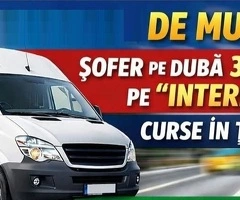 Sofer categoria B duba de 3,5 T