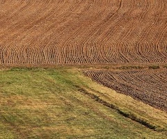 Vand 500.000 mp teren extravilan compact in județul Botoșani