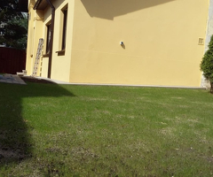 Casa Banu Manta-Basarab