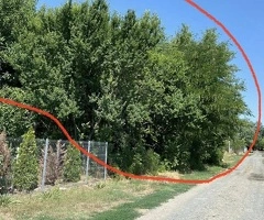 Teren de vânzare sat Ceacu jud. Călărași