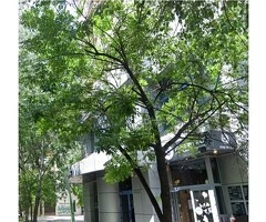 Apartament cu vedere la Blv.Unirii